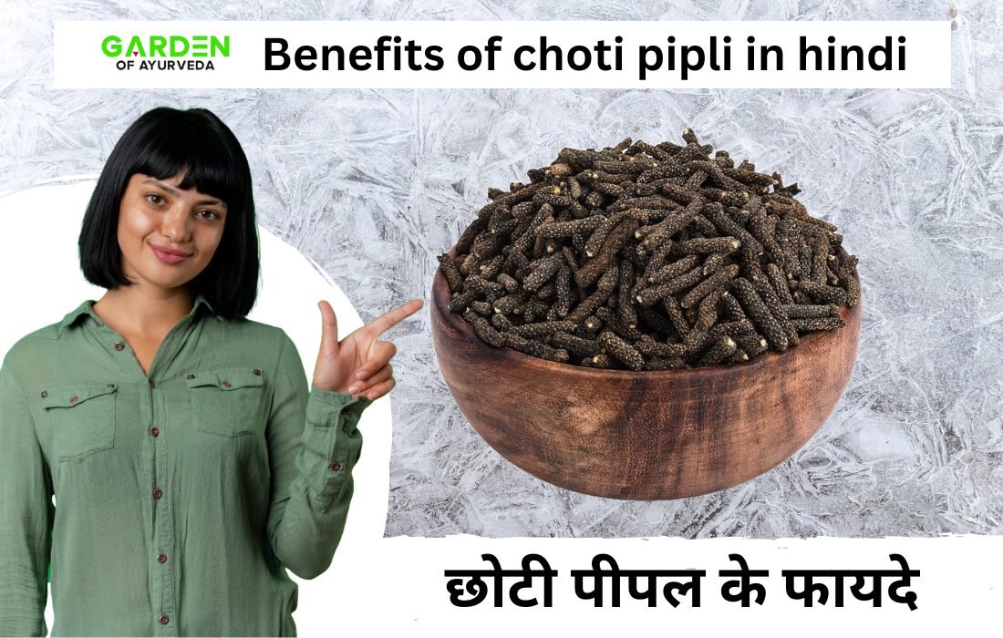 छोटी पीपली के 8 फायदे | Choti pipli benefits | Pipli ke fayde