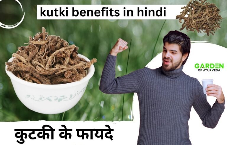 कुटकी के फायदे | kutki benefits in hindi | कुटकी की तासीर गरम होती है या ठंडी