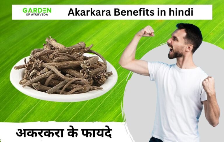 अकरकरा के फायदे | Akarkara Benefits in hindi