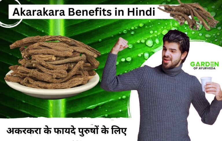 अकरकरा के फायदे पुरुषों के लिए | Akarakara Benefits in Hindi