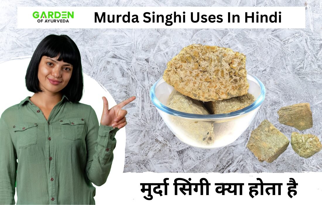 मुर्दा सिंगी क्या होता है | Murda Singhi Uses In Hindi