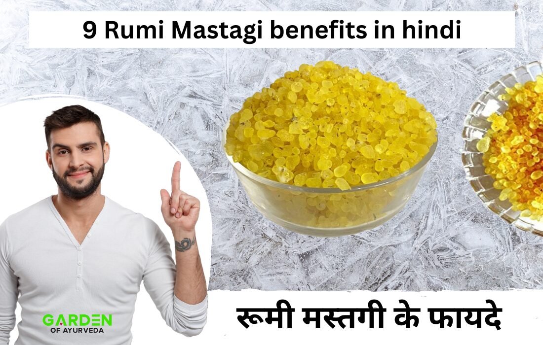 रूमी मस्तगी के फायदे: 9 Rumi Mastagi benefits in hindi | mastagi rumi Benefits for male in hindi