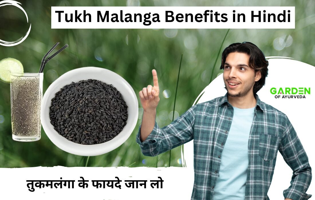 तुकमलंगा: Tukh Malanga Benefits in Hindi | तुकमलंगा के फायदे जान लो