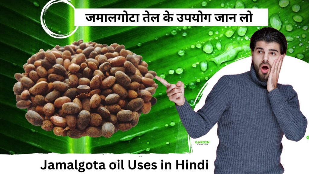 Jamalgota oil Uses in Hindi | जमालगोटा तेल के उपयोग जान लो