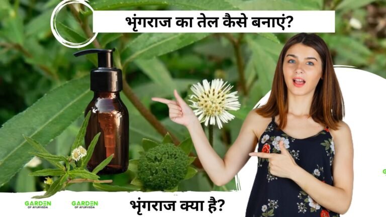 भृंगराज का तेल कैसे बनाएं? बालों का झड़ना कम करे