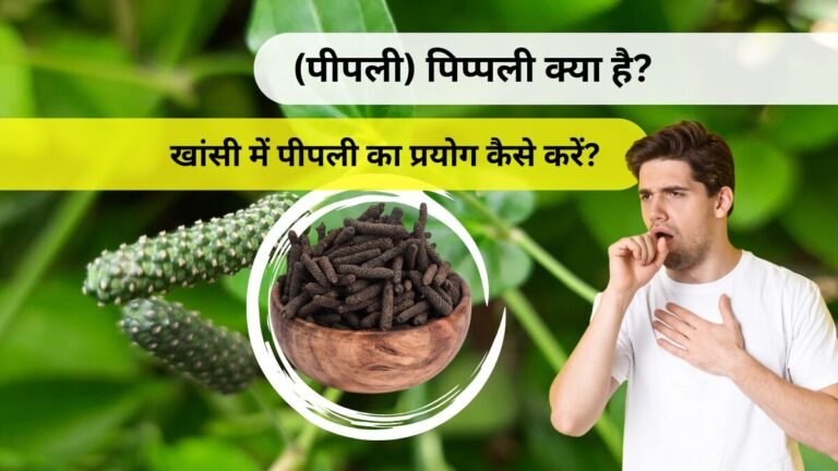 खांसी में पीपली का प्रयोग कैसे करें? | (पीपली) पिप्पली क्या है?