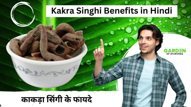 काकड़ा सिंगी के फायदे | Kakra Singhi Benefits in Hindi